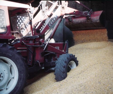 Attrezzo agricolo.