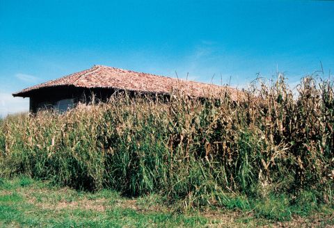 Casa nelle frasche.