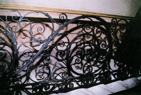 Particolare  dellinferriata dello  scalone  dellOttocento, in  ferro battuto, che  riprende i motivi  floreali del portone  dingresso.